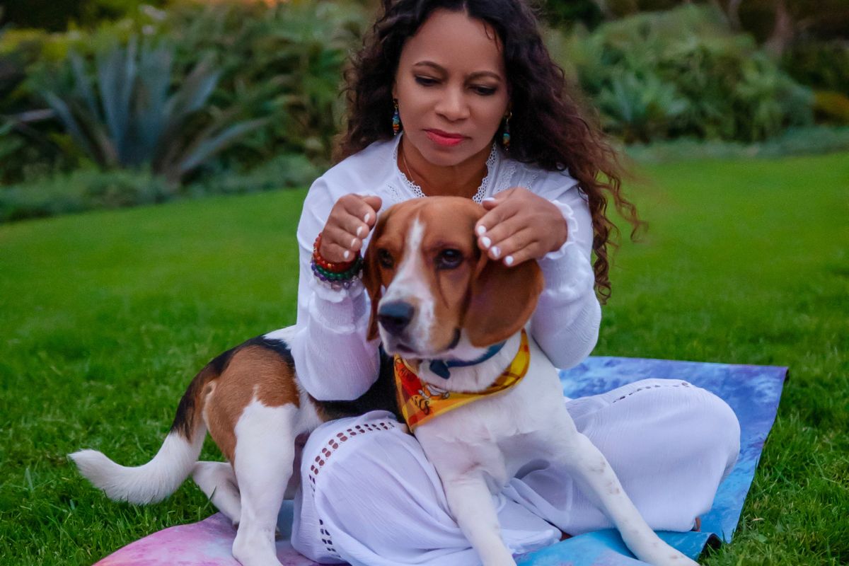 Healing for Animals - Understanding and healing your pet.